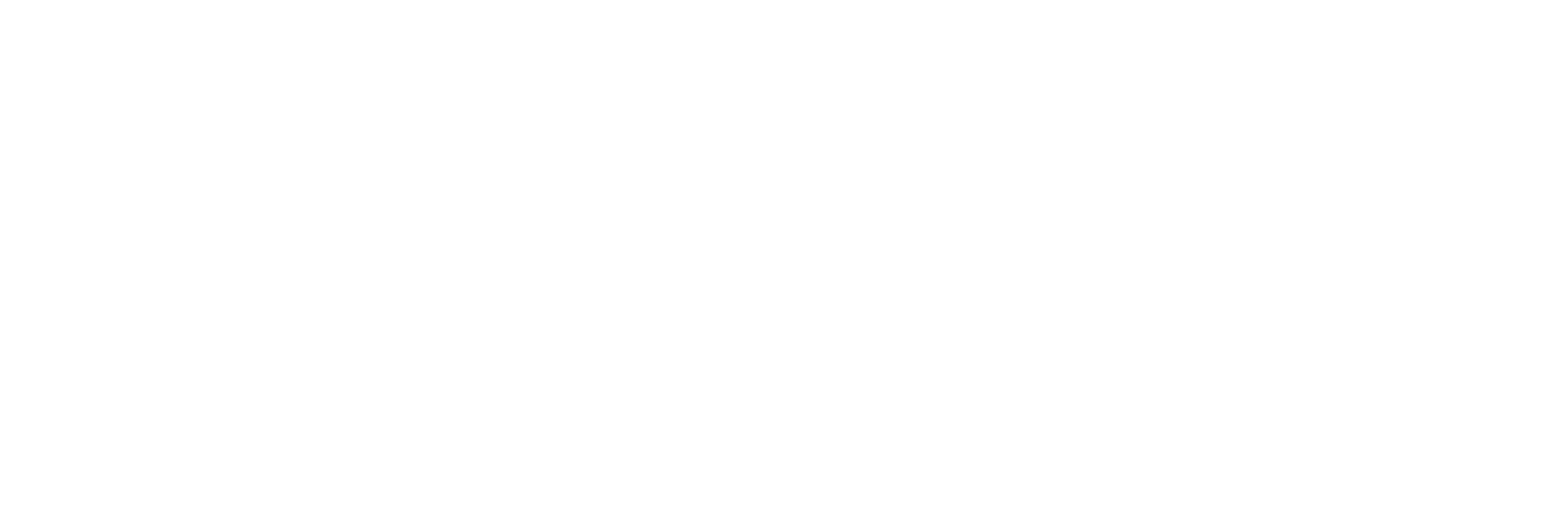 Micgame Logo Light